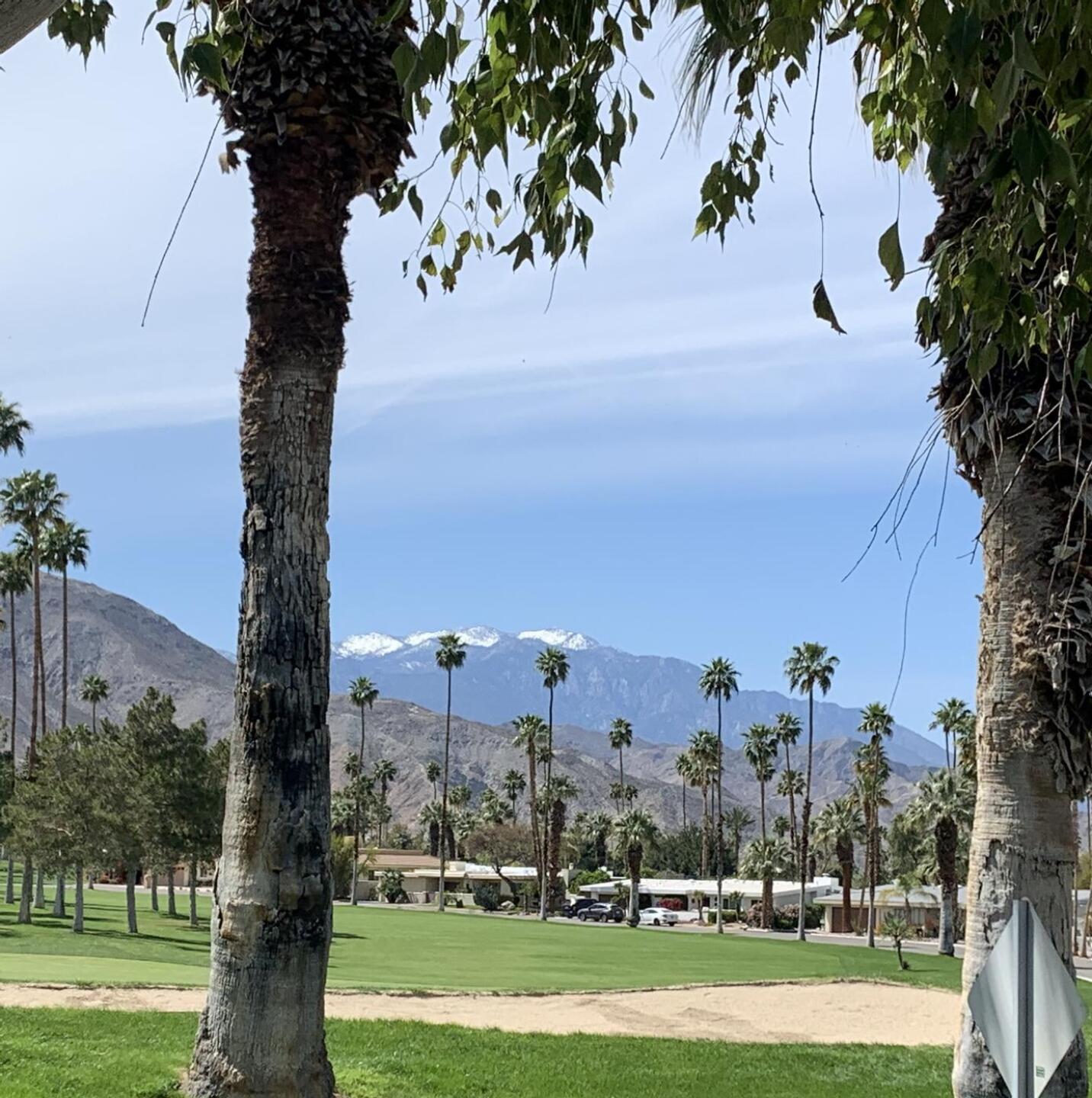 great views! (Photo submitted by teetimegrl on 04/07/2024)