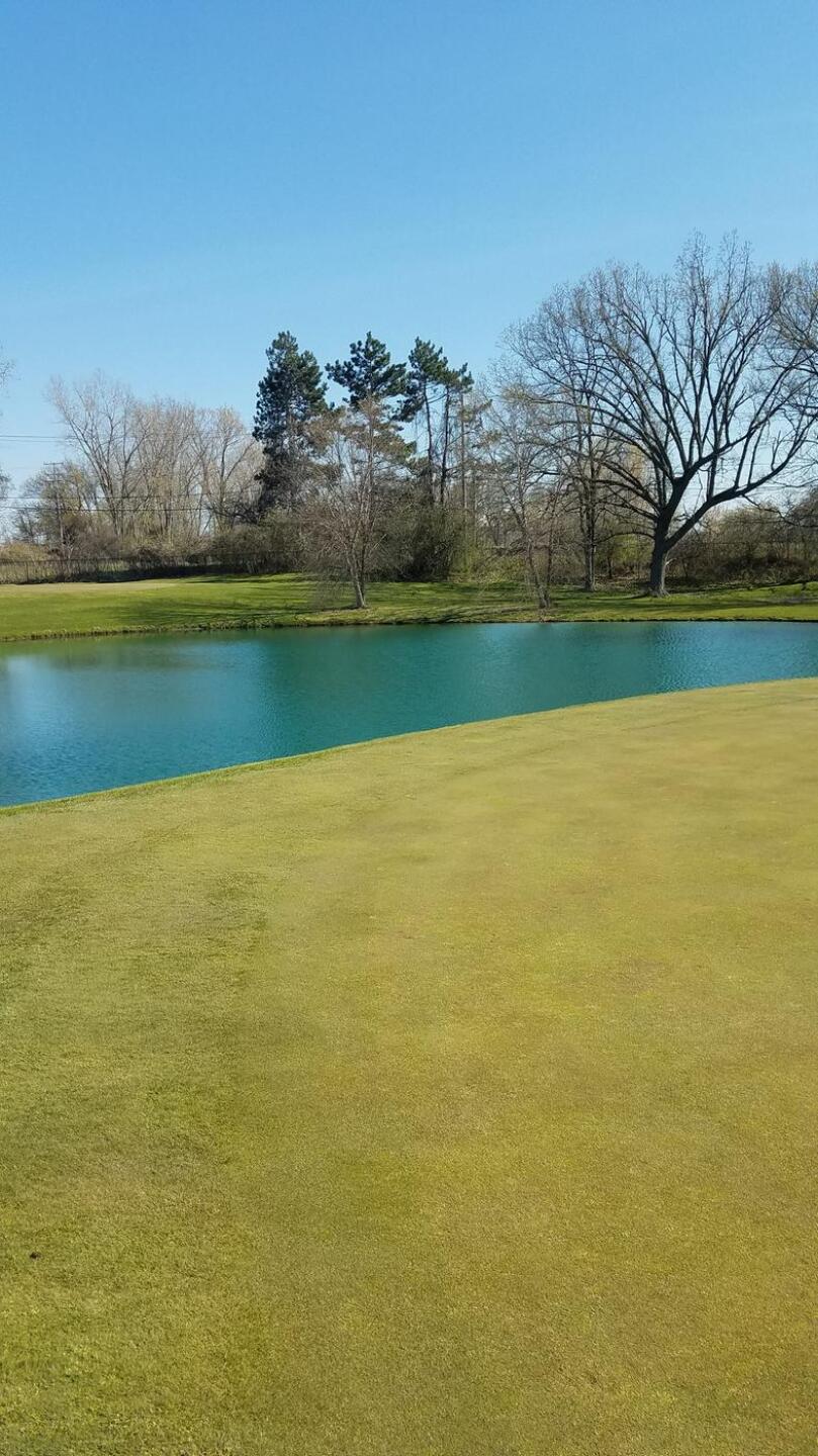 (Photo submitted by howardkhru on 05/17/2020)