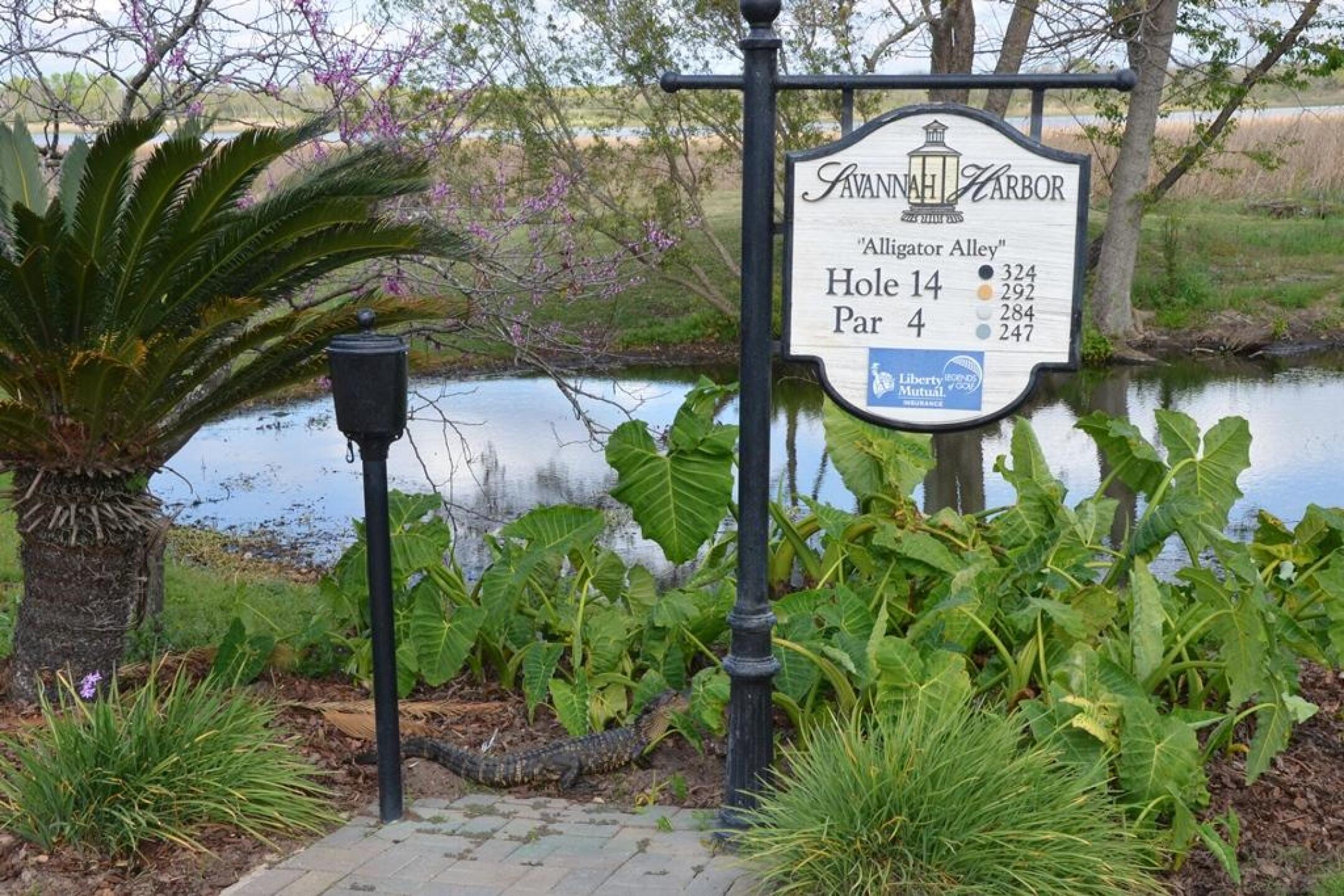 He Makes Sure It's Cart Path Only (Photo submitted by KarenPL on 03/19/2017)