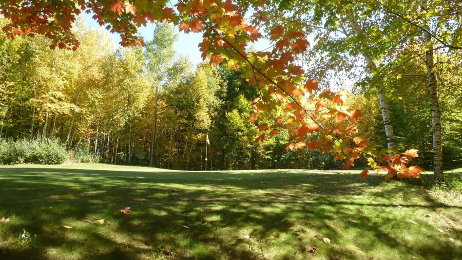 Springport Hills GC