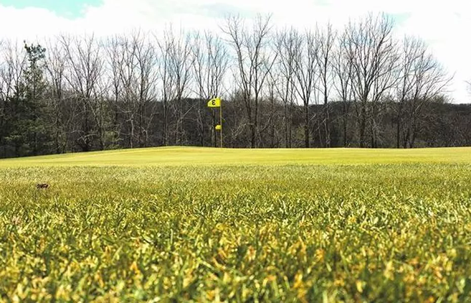 Nashua Town & CC: #3