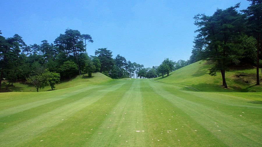 Pinetree GC: #15