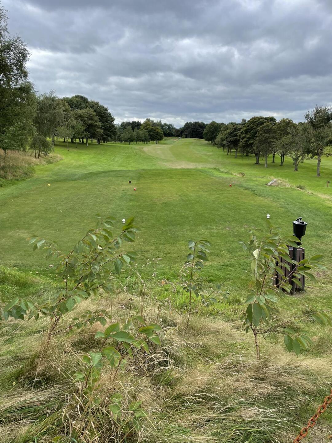 (Photo submitted by t1157292734 on 09/20/2021)