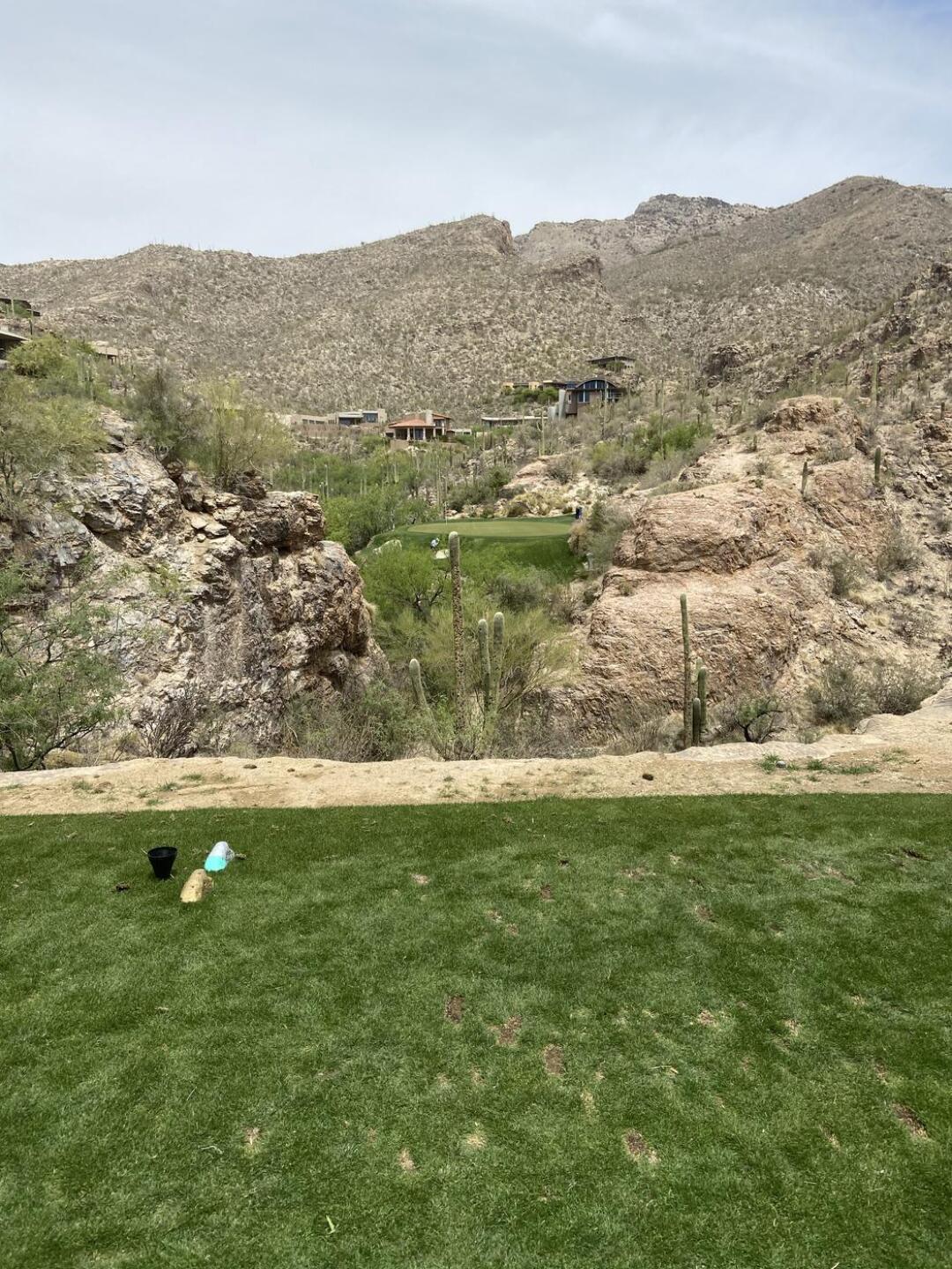 (Photo submitted by u444820267 on 04/23/2021)