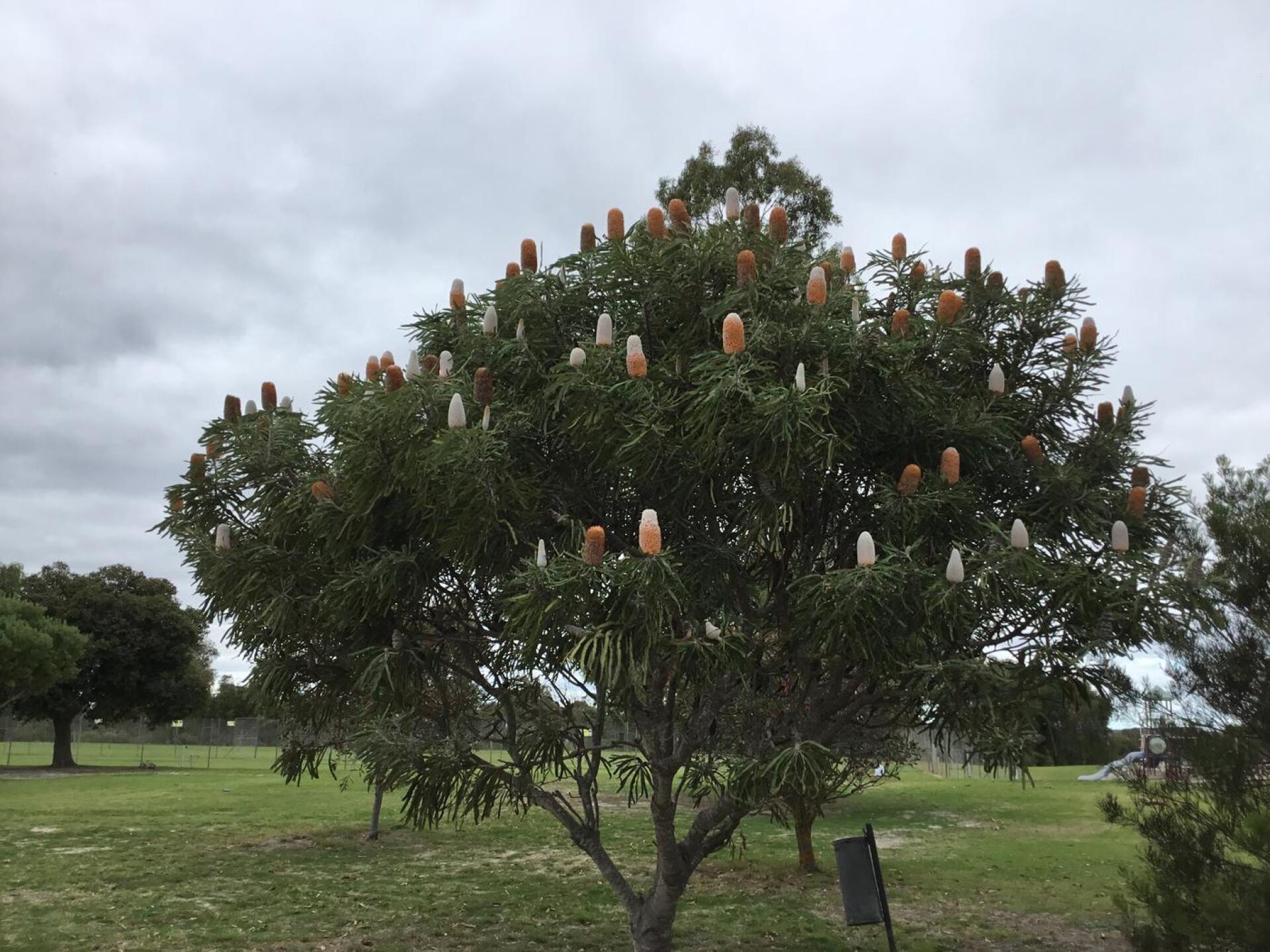 Back of 18th (Photo submitted by svGYxU8WEioLcl6y5m7H on 04/26/2021)