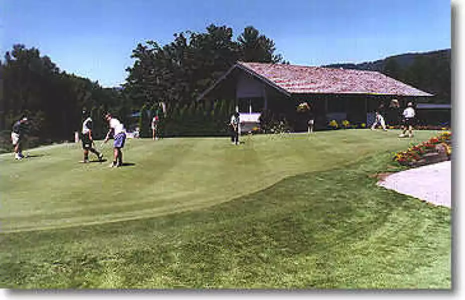 Lewis River putting green