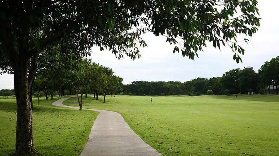 The Pine Golf & Lodge: #1