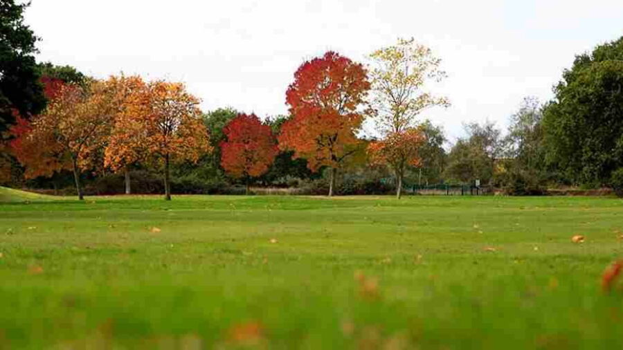 Fairway from David Lloyd Hampton Golf Course