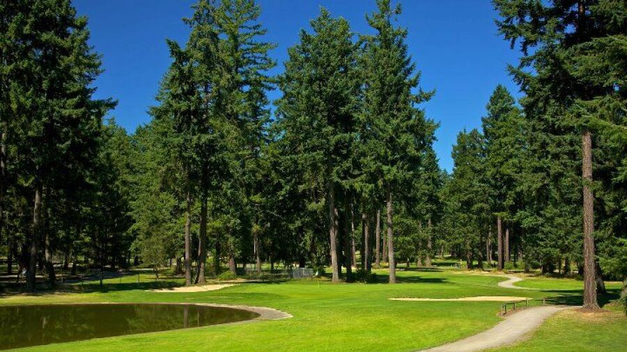 Lake Spanaway GC: #14