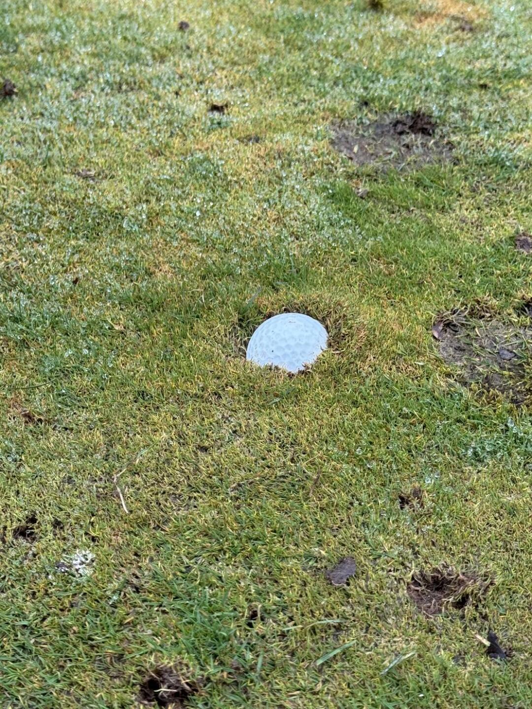 (Photo submitted by ioSjt8c3XIuoNAdOK0gO on 03/08/2026)