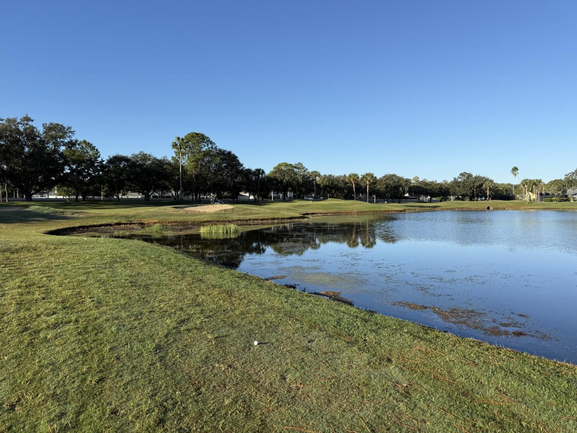 (Photo submitted by MrSKasica2021 on 10/21/2025)