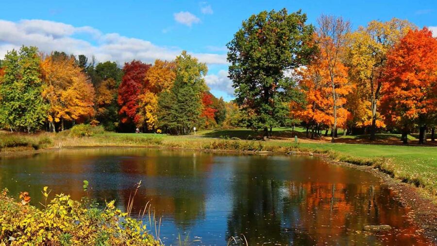 Town Of Colonie GC