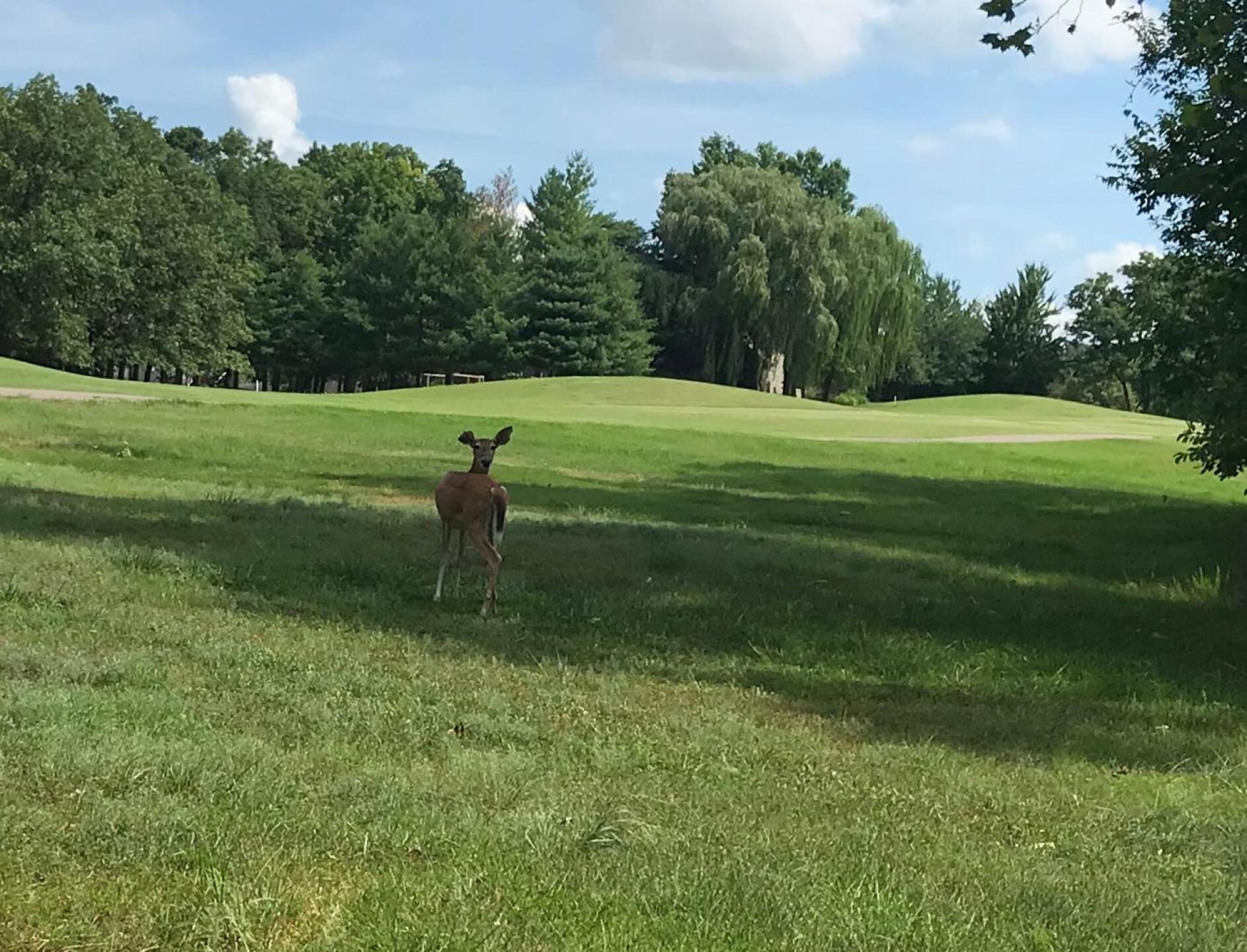 (Photo submitted by davidberreth on 07/04/2019)