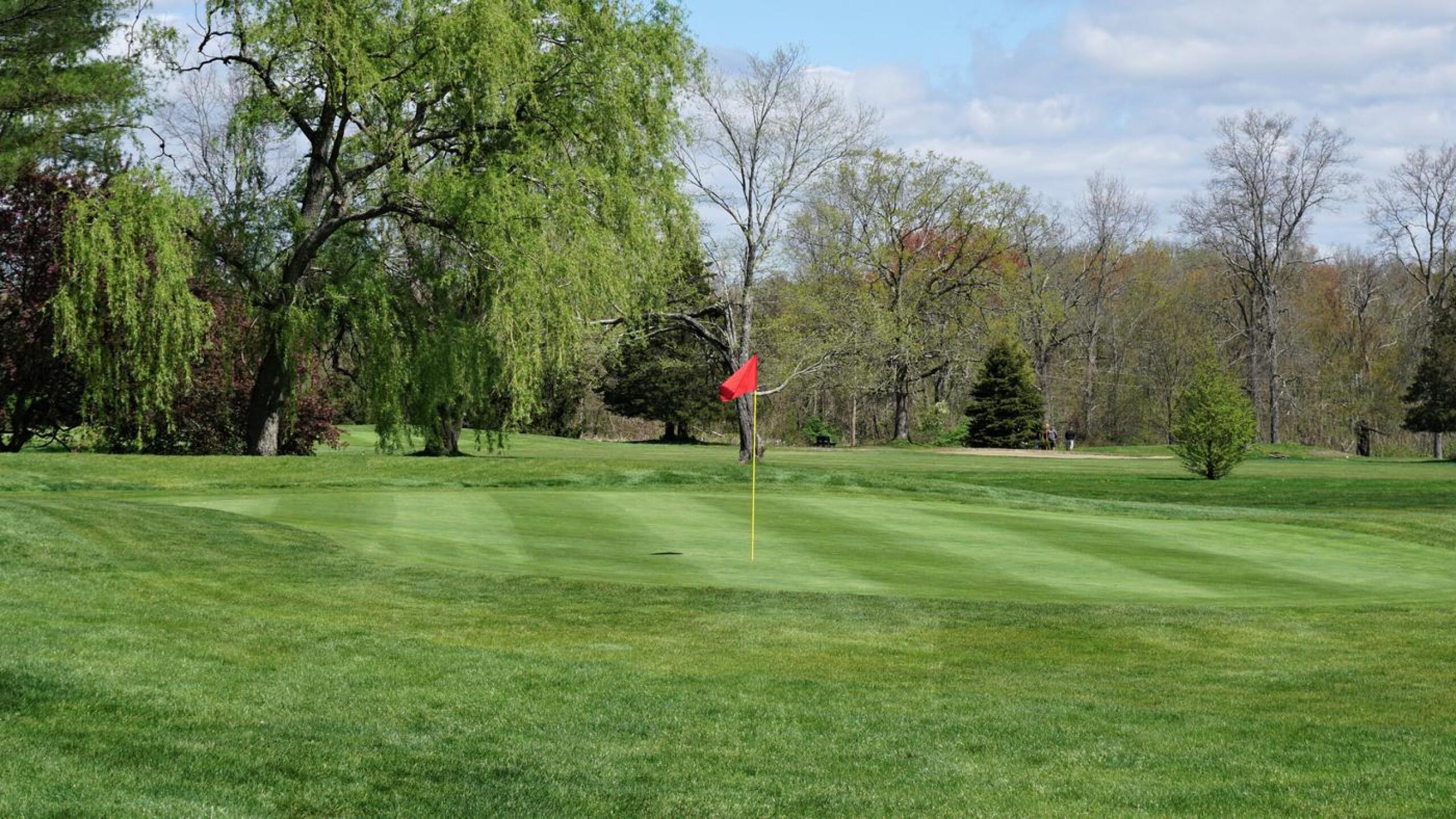 The first green during springtime. (Photo submitted by AptlyLinked on 07/19/2021)