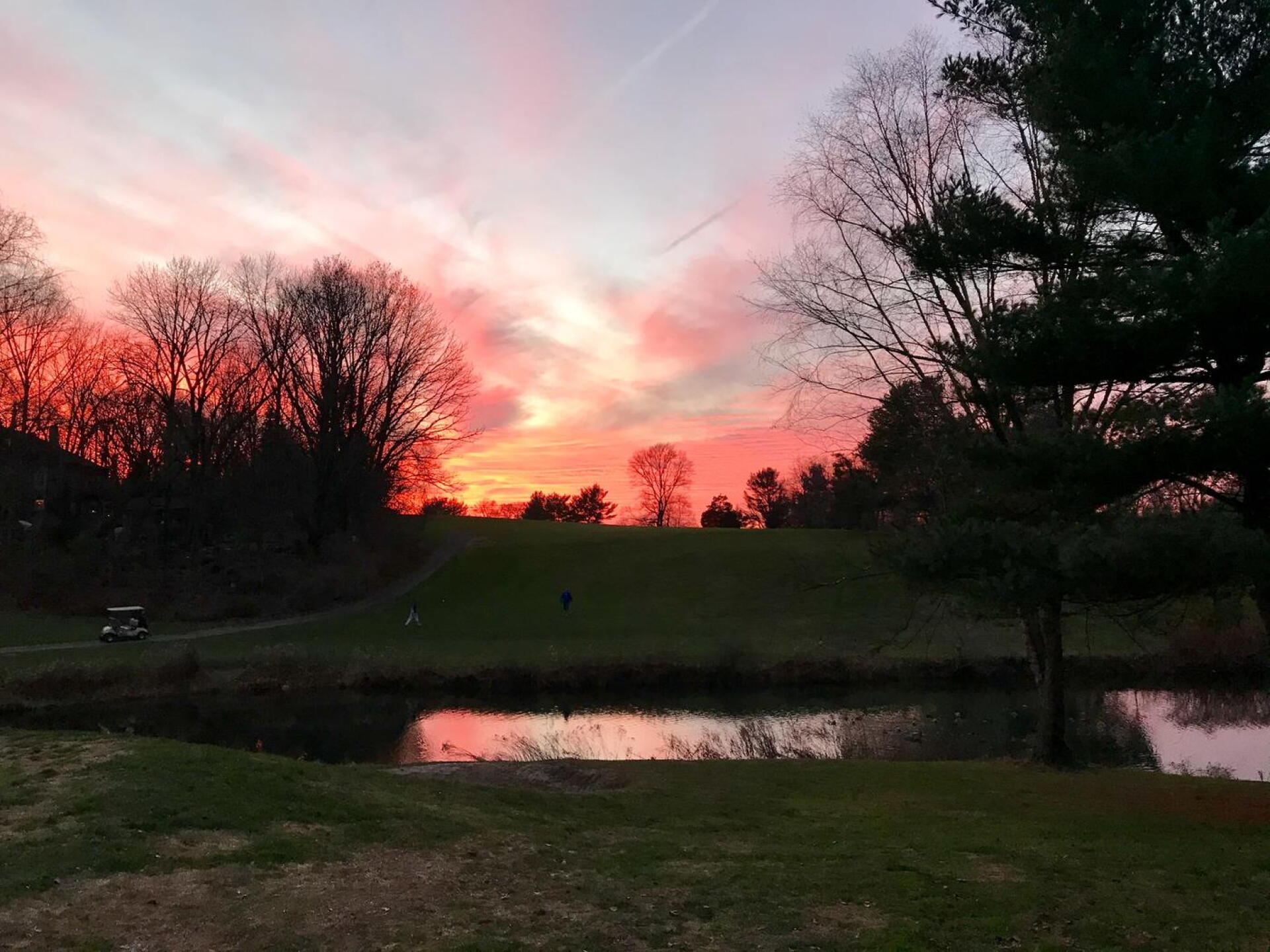 (Photo submitted by u314160025272 on 12/13/2020)