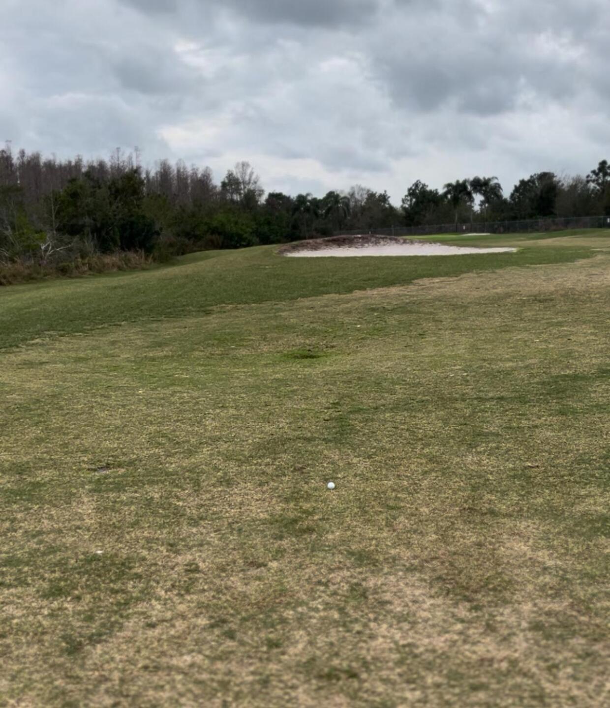 (Photo submitted by TuxT8Bs7kuclyGKcJ95a on 07/18/2025)