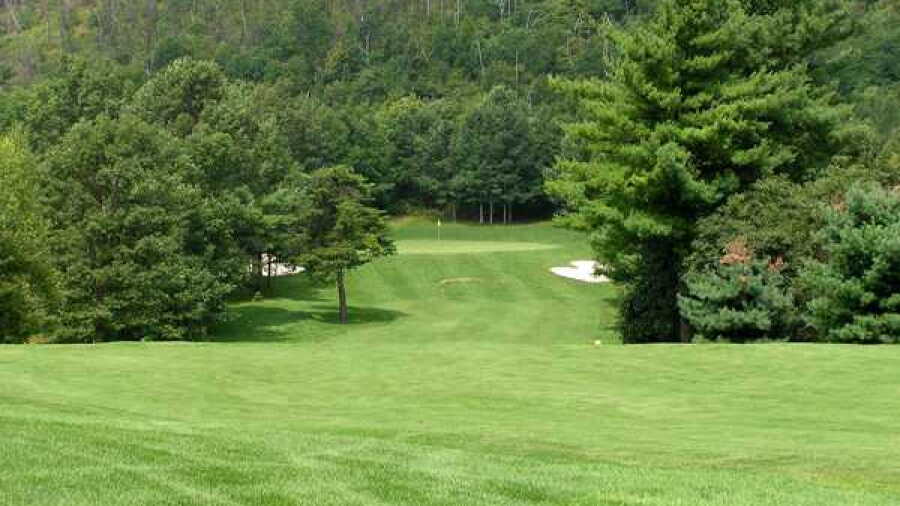 Blue Shamrock GC: #12