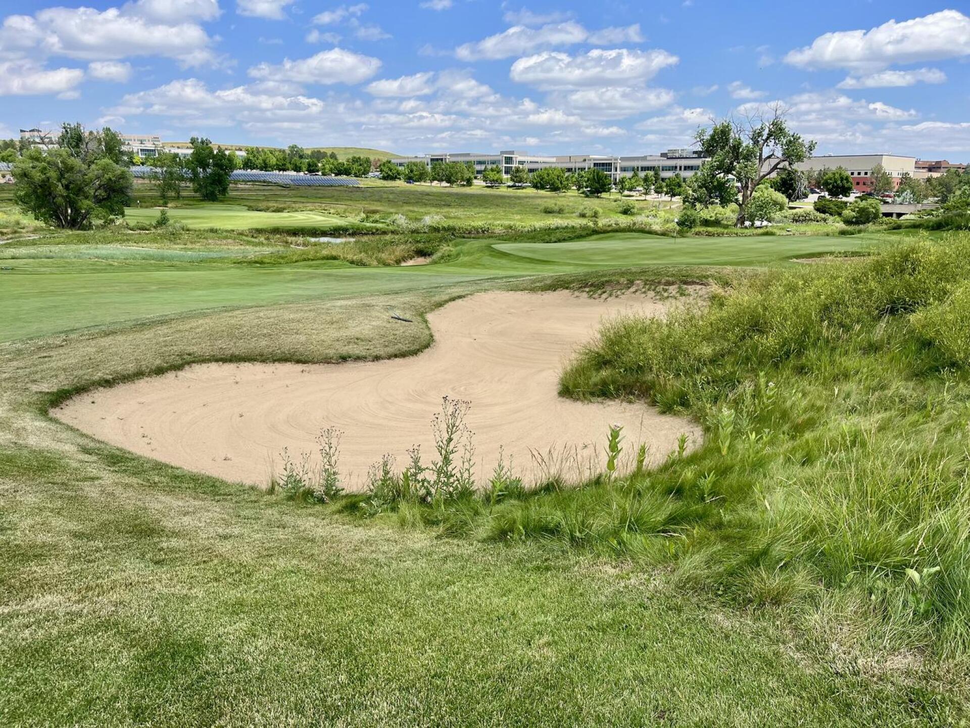 (Photo submitted by QuantumGolfx on 07/18/2023)