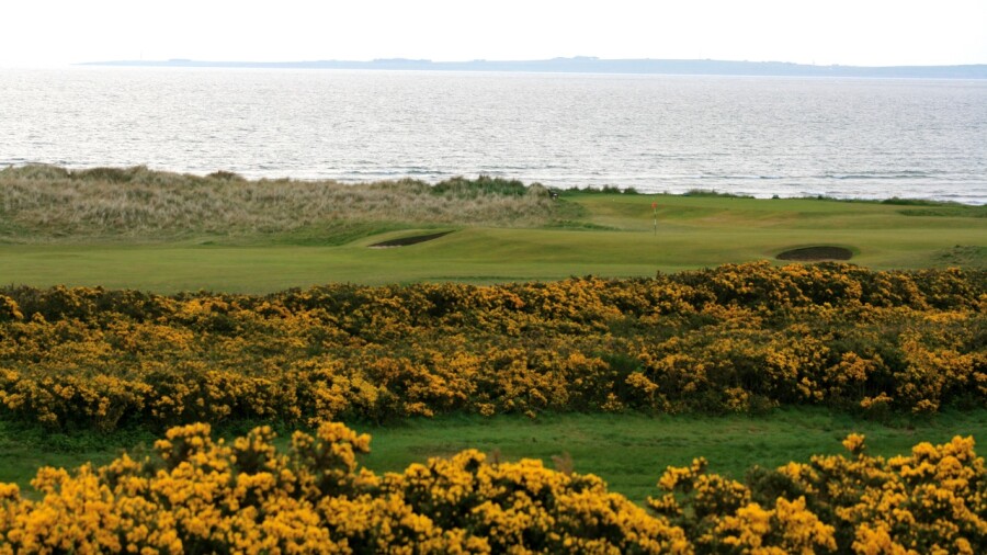 Championship Course at Royal Dornoch Golf Club - gorse