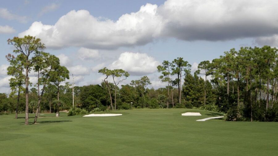 Sandhill Crane GC