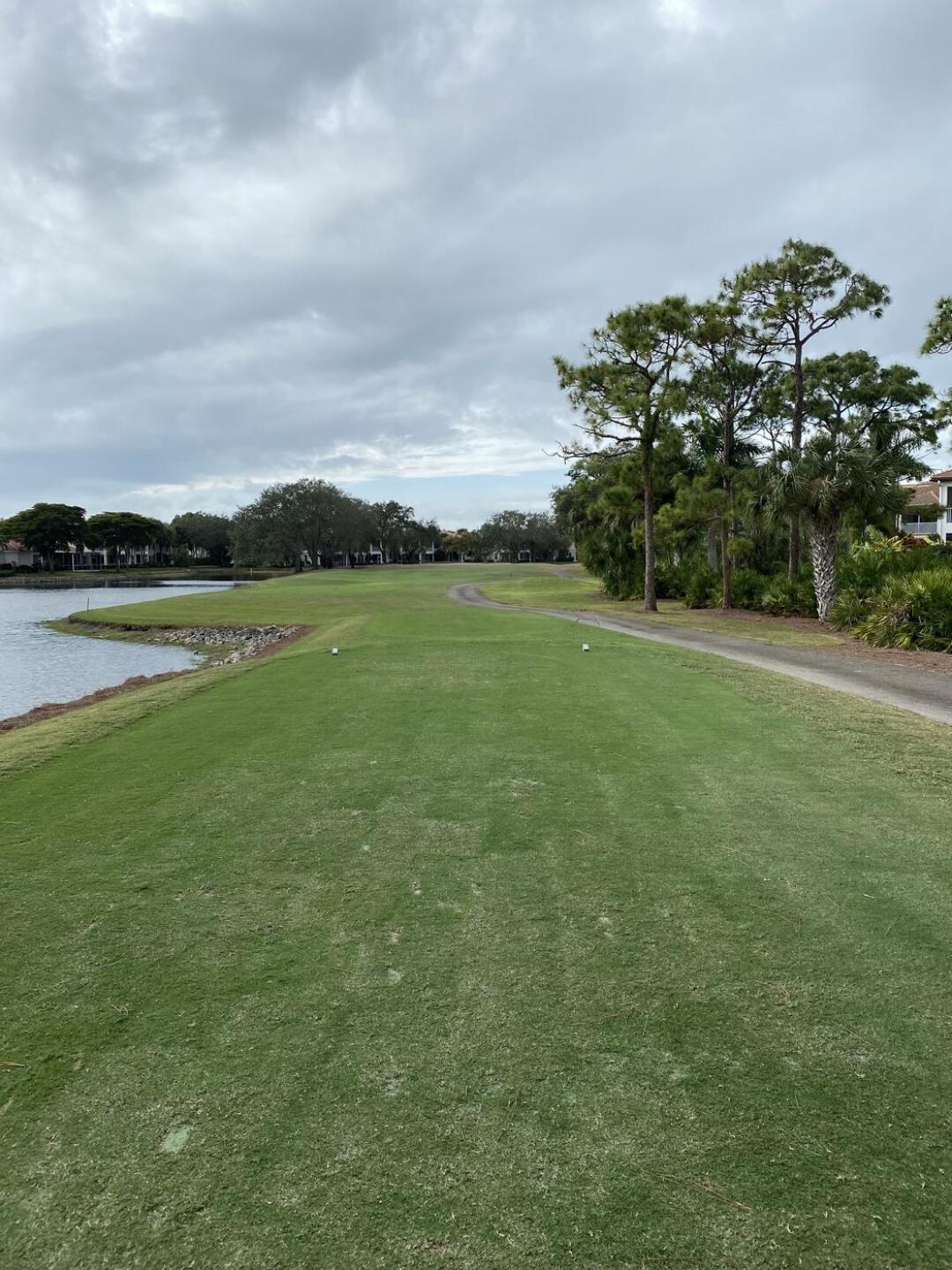 (Photo submitted by ccrognlie on 12/09/2025)