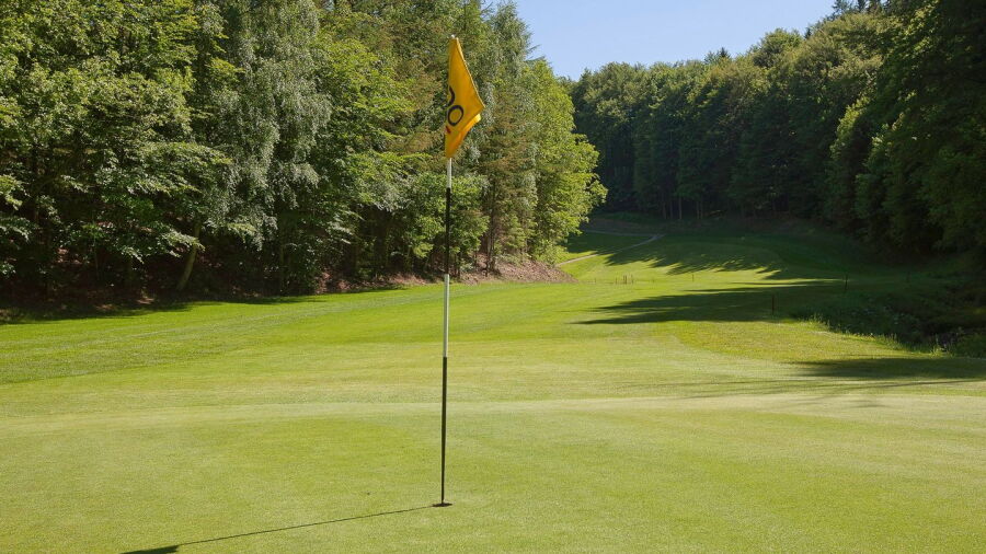 Vejle GC