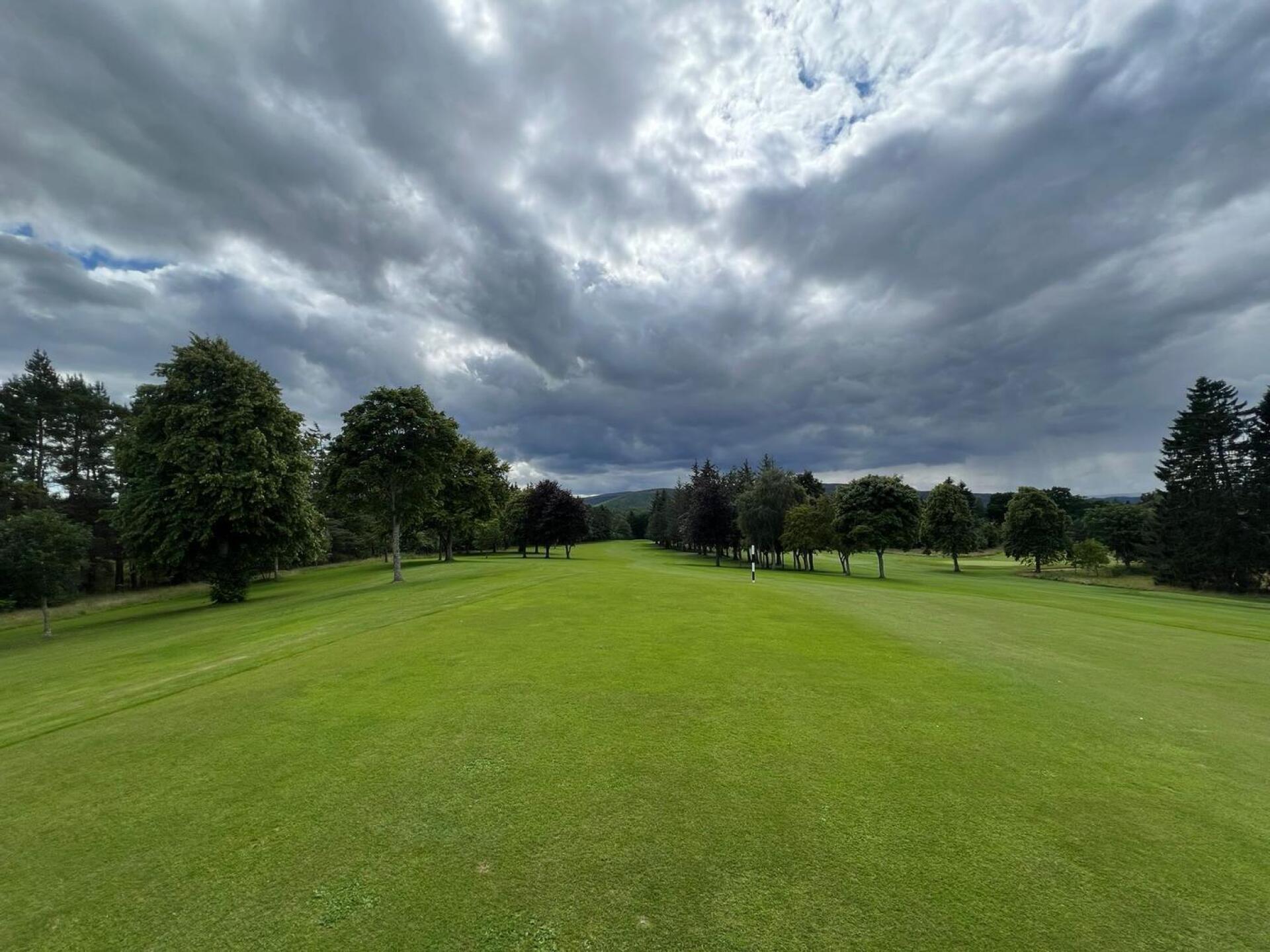 (Photo submitted by N1HLlBLwlNXpetKENIHM on 07/27/2024)