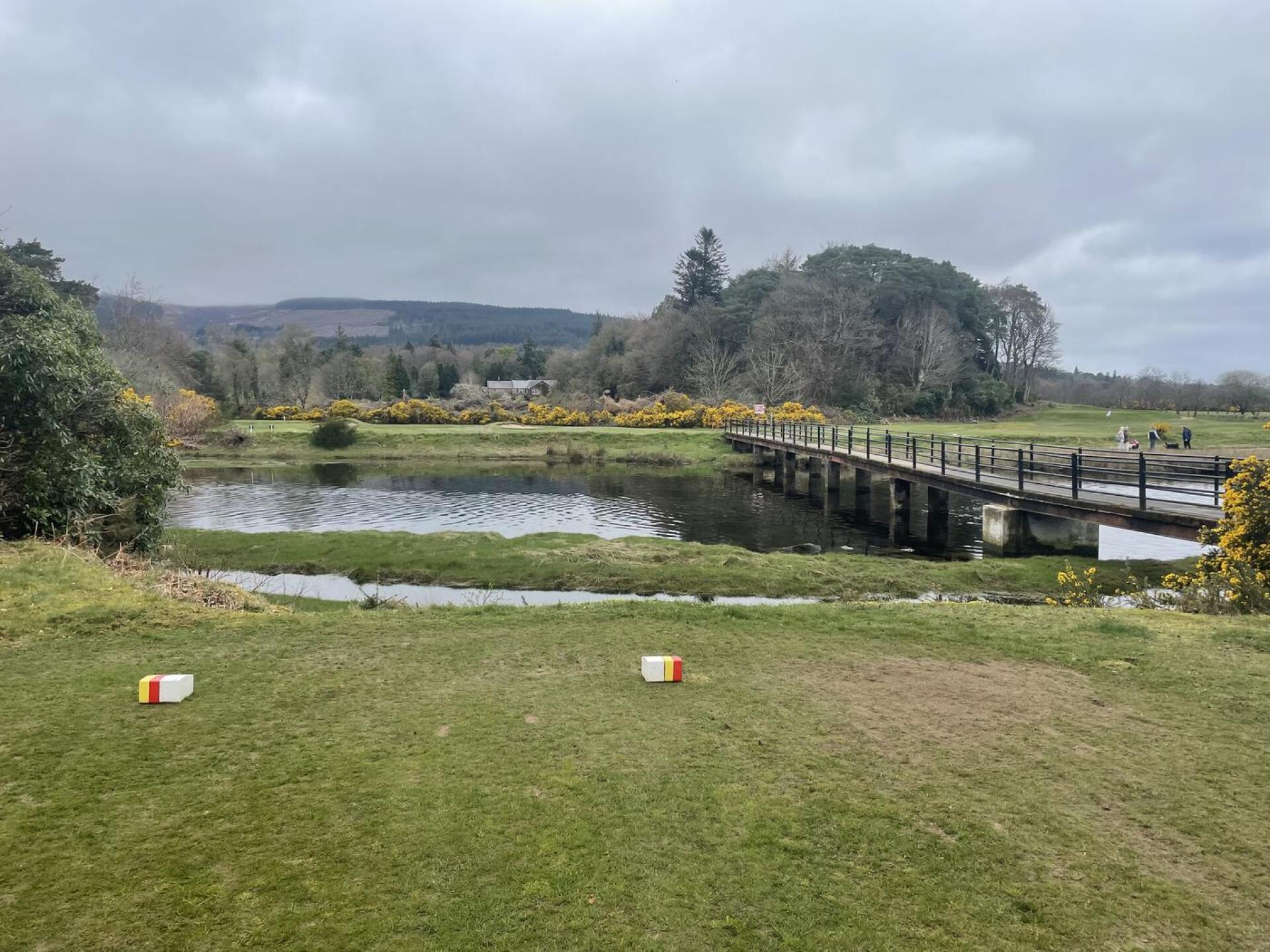 (Photo submitted by stewie1025 on 04/18/2023)