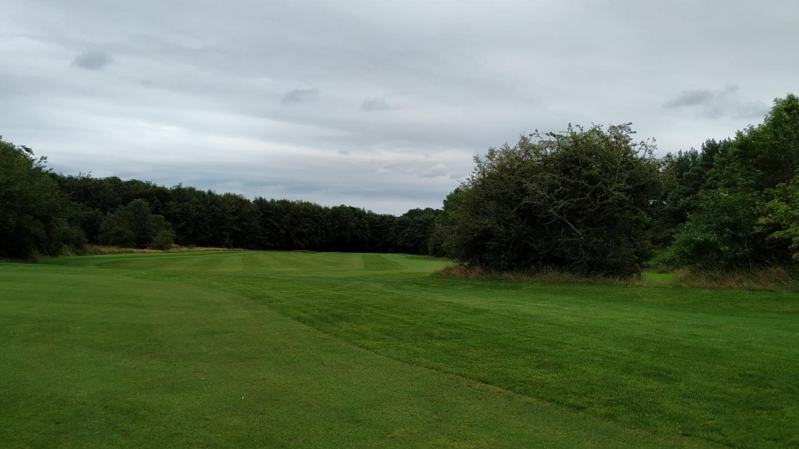 (Photo submitted by t178654297 on 07/30/2019)