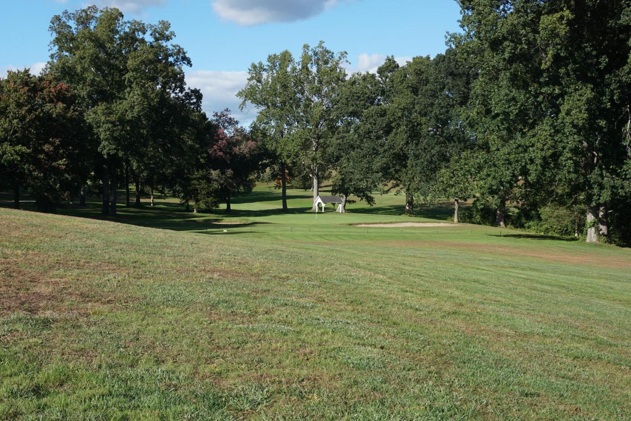 A view of hole eight’s green. This par-three plays downhill. (Photo submitted by AptlyLinked on 10/03/2021)