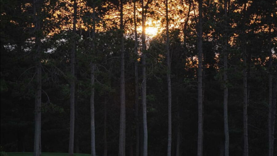 Eagle Glen GC