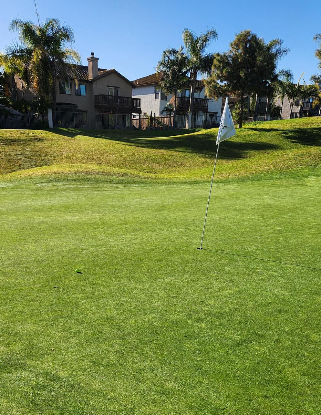 (Photo submitted by reyes9324 on 02/16/2023)