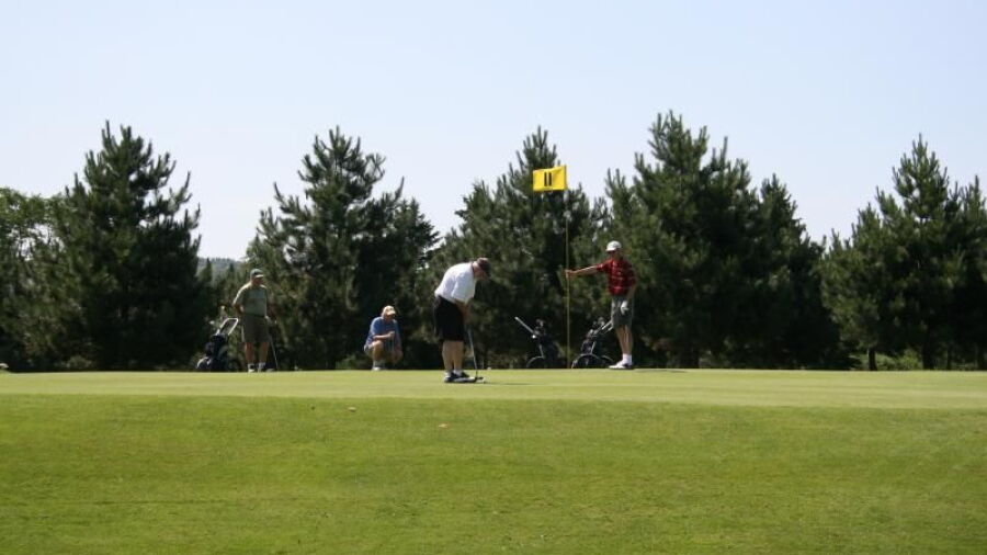 Welsford GC: #11