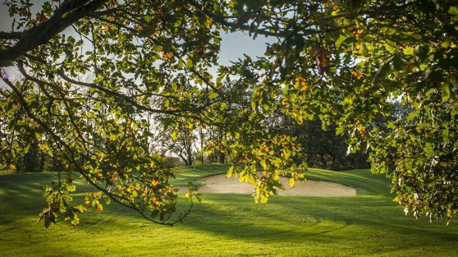 Oaks at Woodbury
