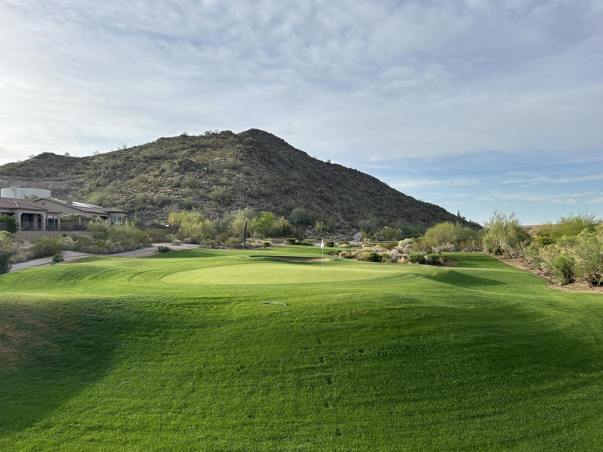 (Photo submitted by KldCrPuzmutW9H02gShx on 04/06/2025)