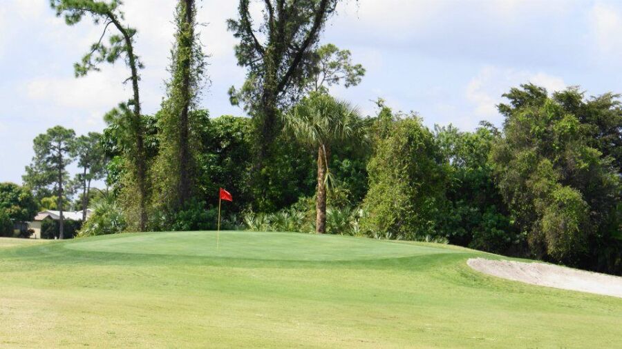 Forest Oaks GC