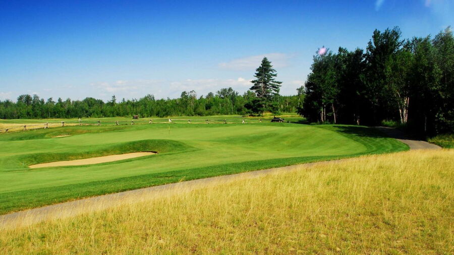 GreyHawk GC