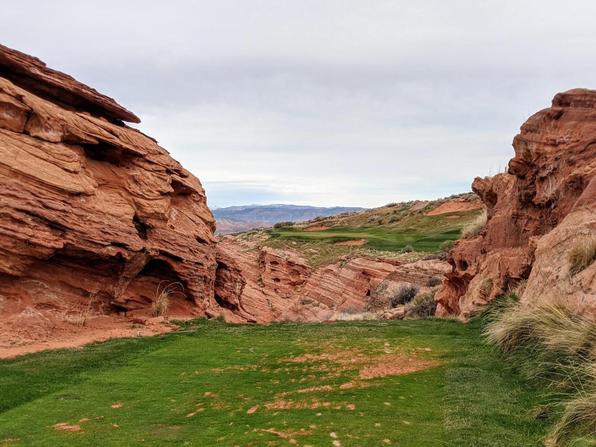 (Photo submitted by Snaphook417 on 01/27/2020)