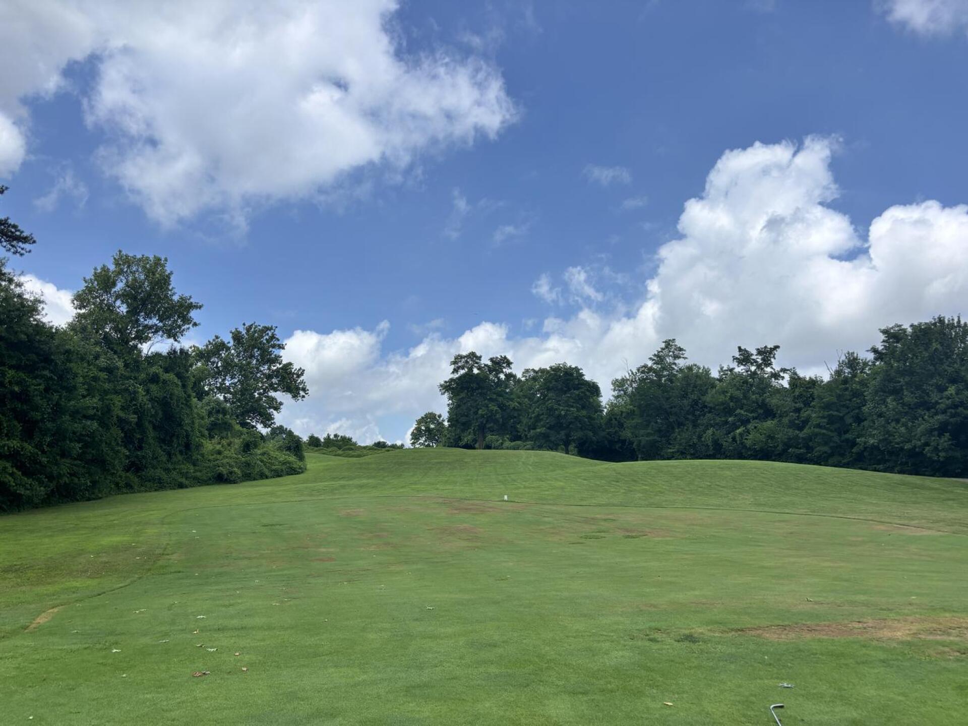 (Photo submitted by jsmallwood on 07/16/2025)