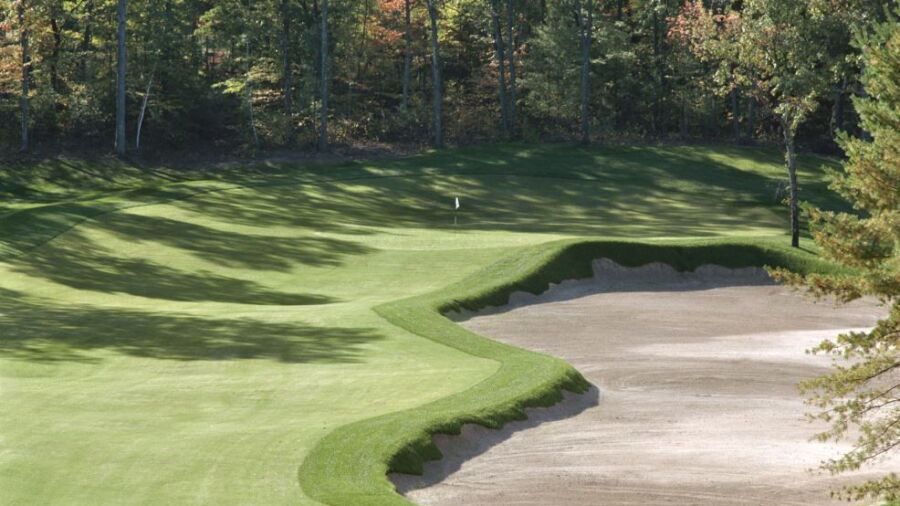Red Tail GC: #7