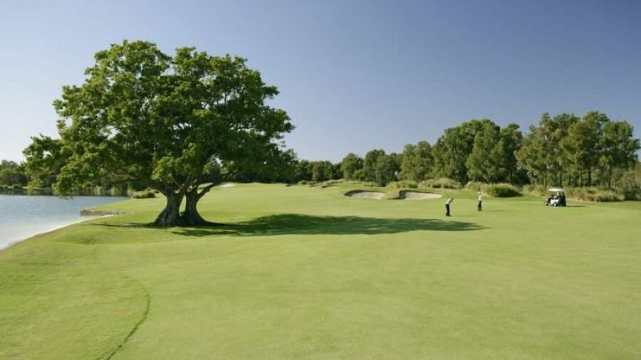 Links Hope Island