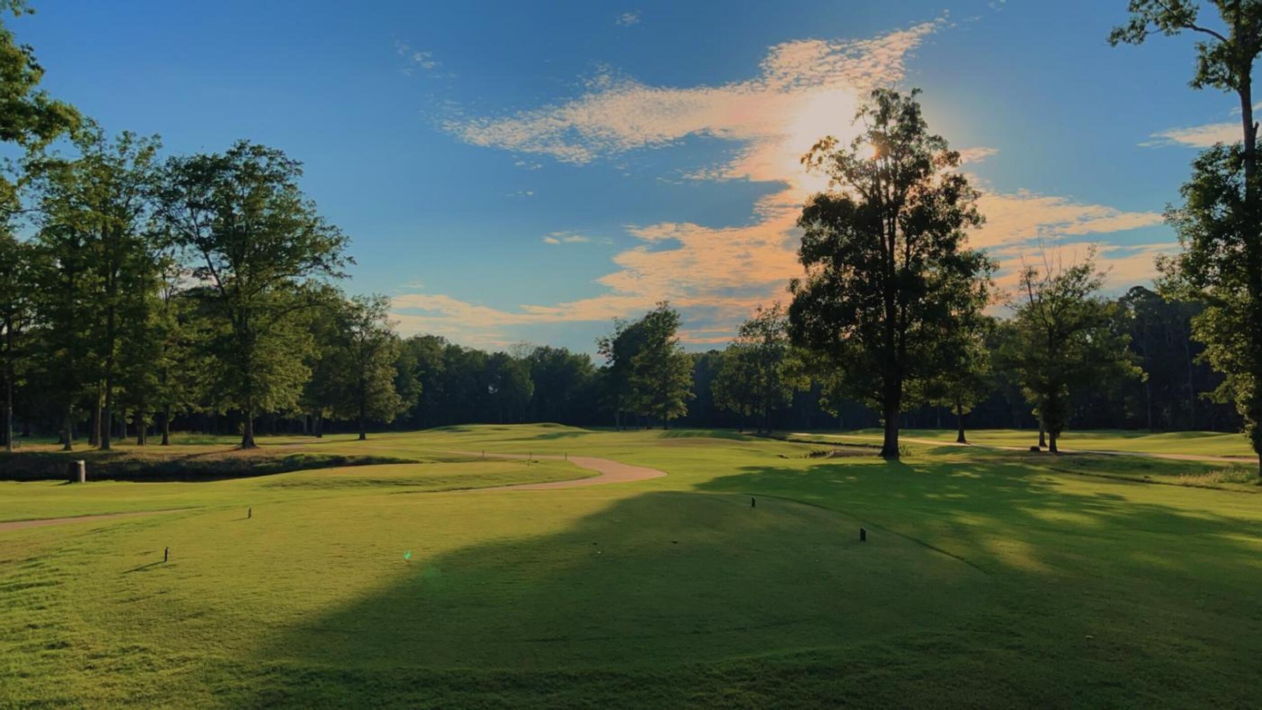 (Photo submitted by tcm1331 on 07/13/2024)