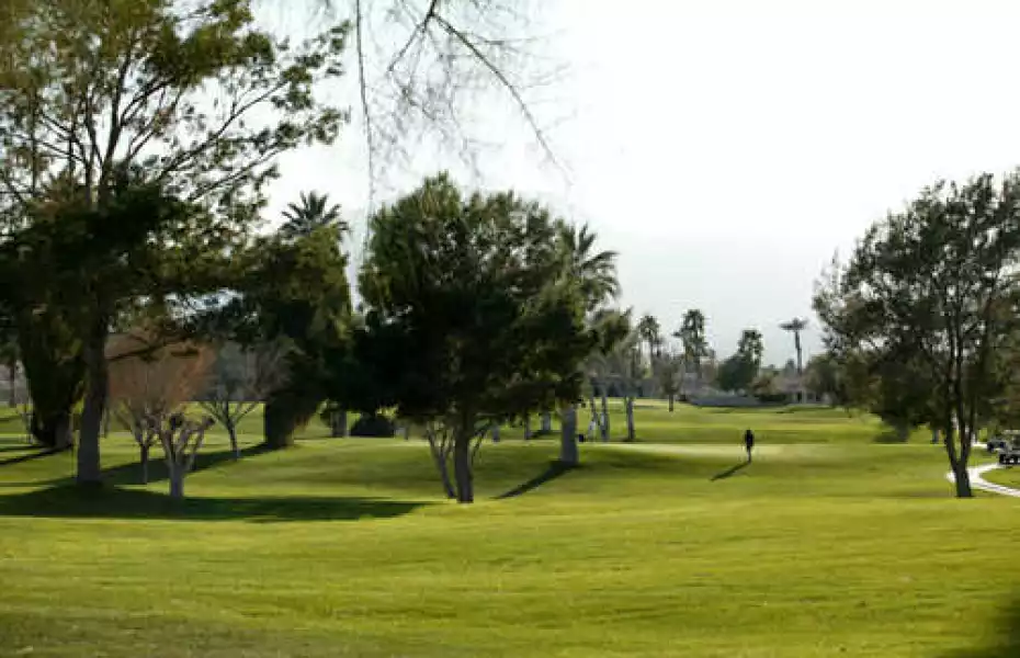 Indian Palms GCC