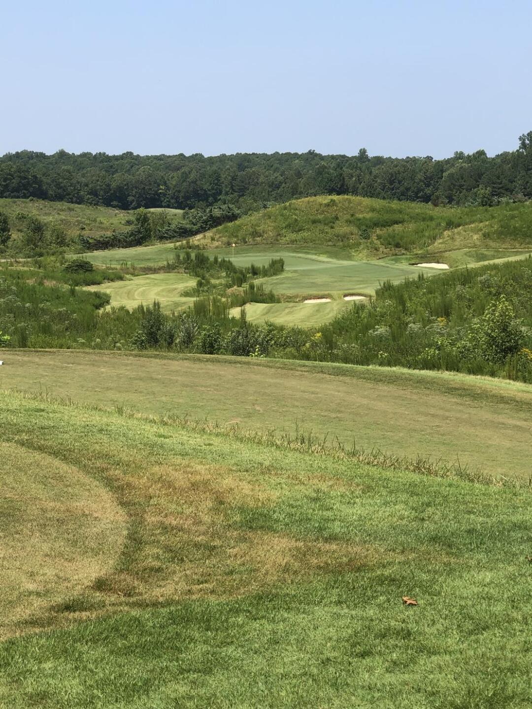 (Photo submitted by msfred43 on 08/25/2021)