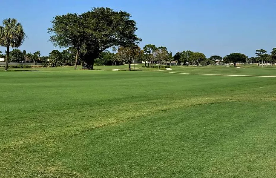 Sailfish Sands GC - Sands Reversible Gold: #3