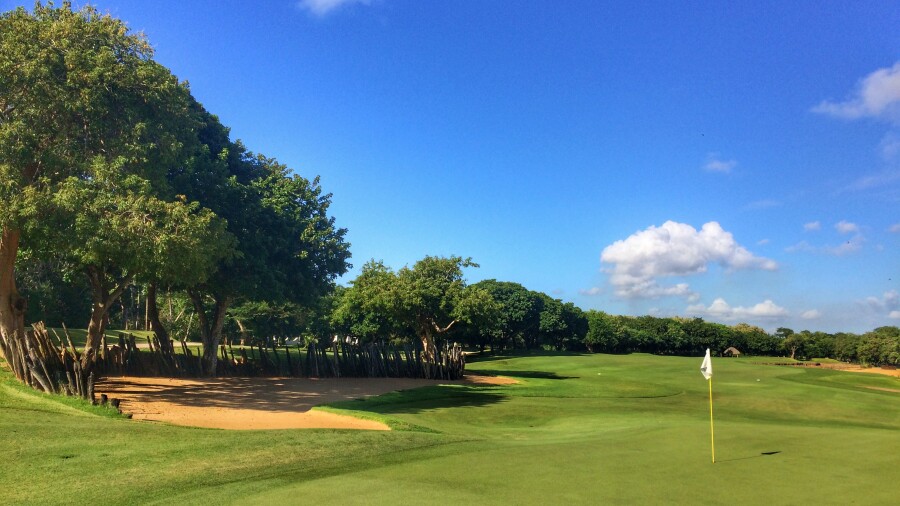 Teeth of the Dog - No. 1