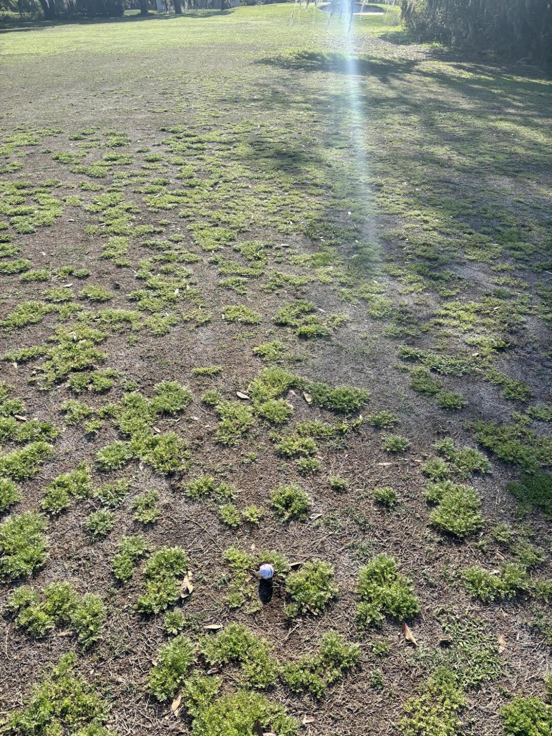 (Photo submitted by taazzgametime on 04/04/2026)