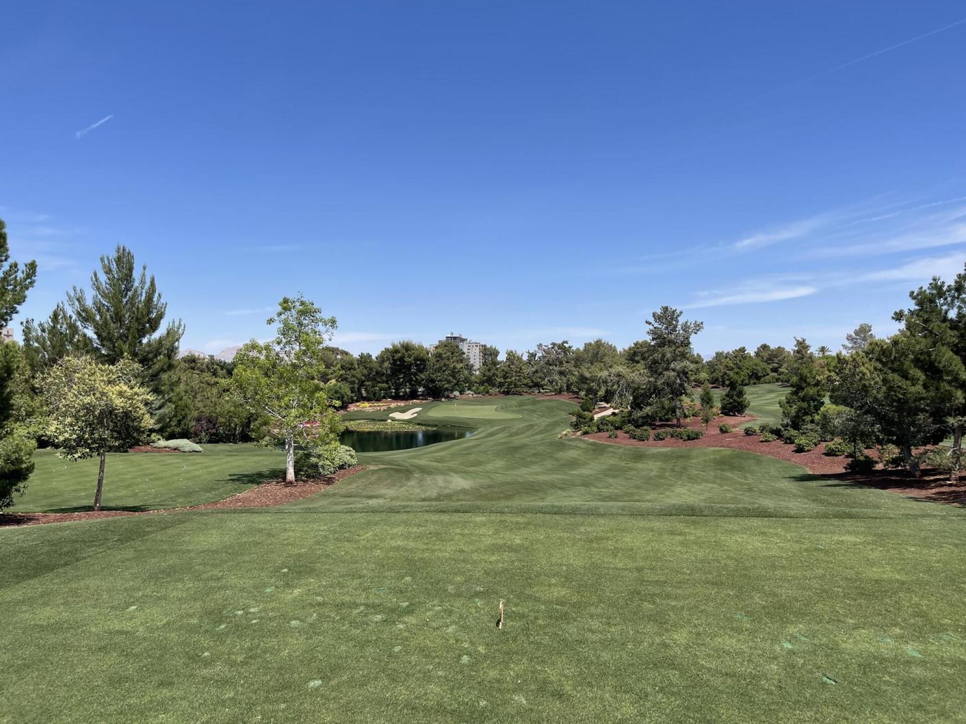 (Photo submitted by u314159839478 on 06/03/2024)