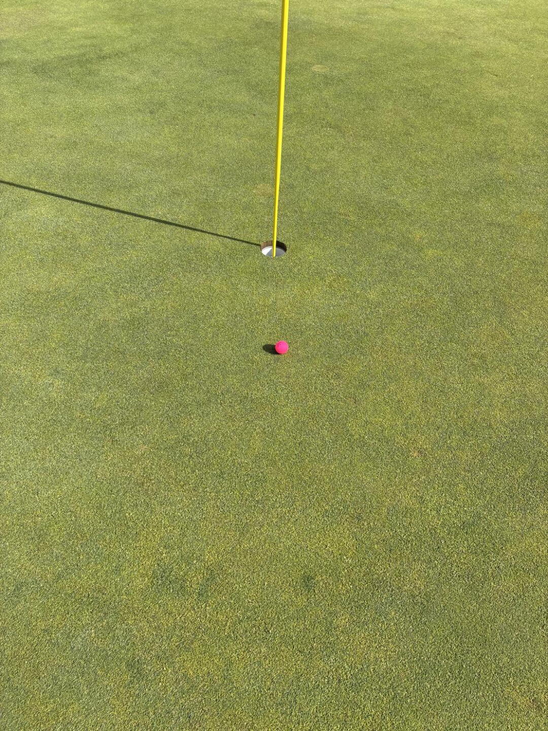 So close. It hit side of cup and rolled…. I fell to my knees (Photo submitted by Bakeder24 on 08/02/2026)