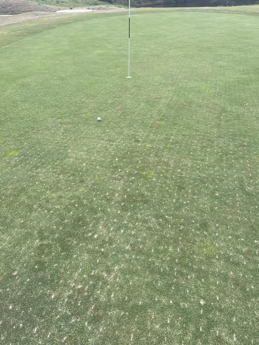 (Photo submitted by judddixon on 03/30/2023)